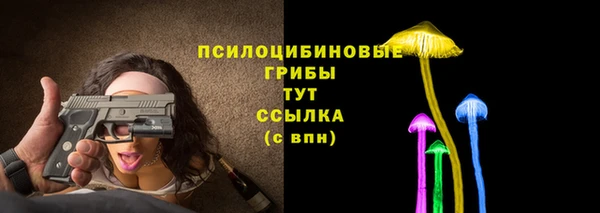 mdpv Горнозаводск