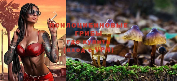mix Горно-Алтайск